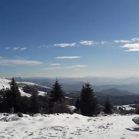 Zuta Dunja - Suncani Breg *