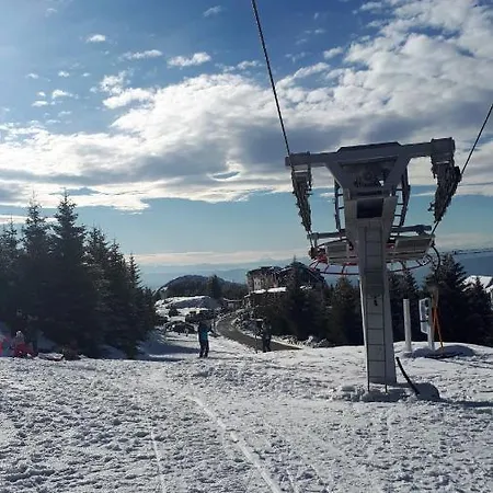 アパート Zuta Dunja - Suncani Breg