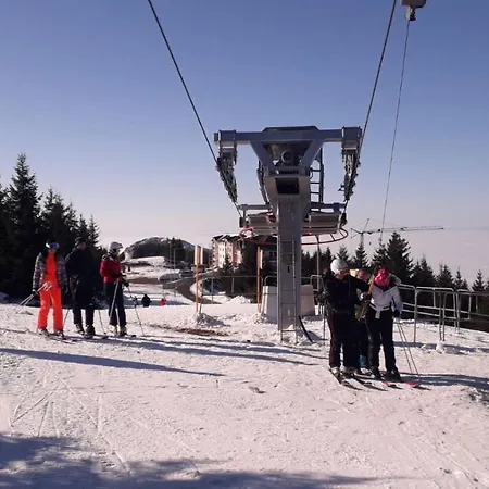 アパート Zuta Dunja - Suncani Breg *