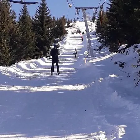 Zuta Dunja - Suncani Breg *