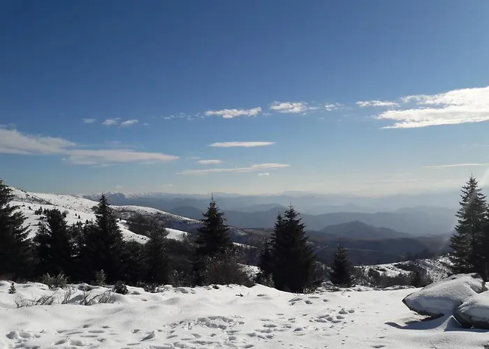 Zuta Dunja - Suncani Breg *