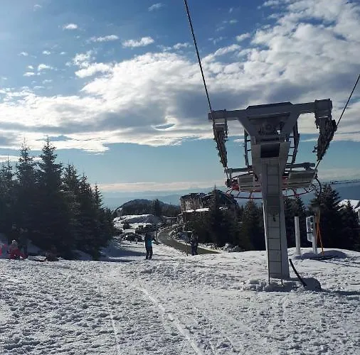 Lägenhet Zuta Dunja - Suncani Breg